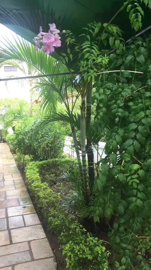 Paraiso Dentro Da Cidade Serra Negra  Zewnętrze zdjęcie